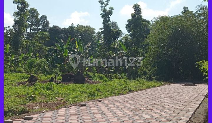 Tanah Jogja Area Jl Kaliurang KM 13 Dekat Kampus Uii