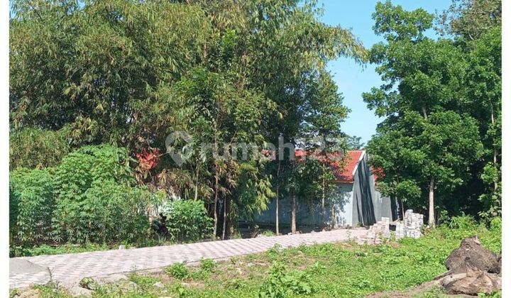 Sleman Yogyakarta Kos Land 3 Million Per Meter, 1 Km to UII Kaliurang.