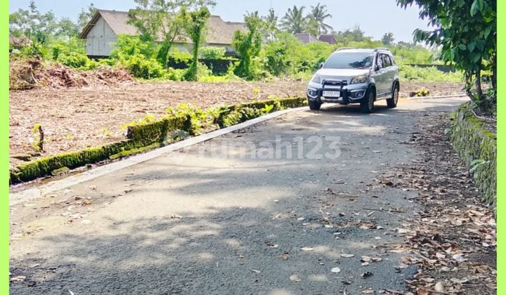 Tanah Jogja 4 Menit Dari Spbu Balong Palagan Km14 Tanah Jogja 4 Menit Dari Spbu Balong Palagan Km14