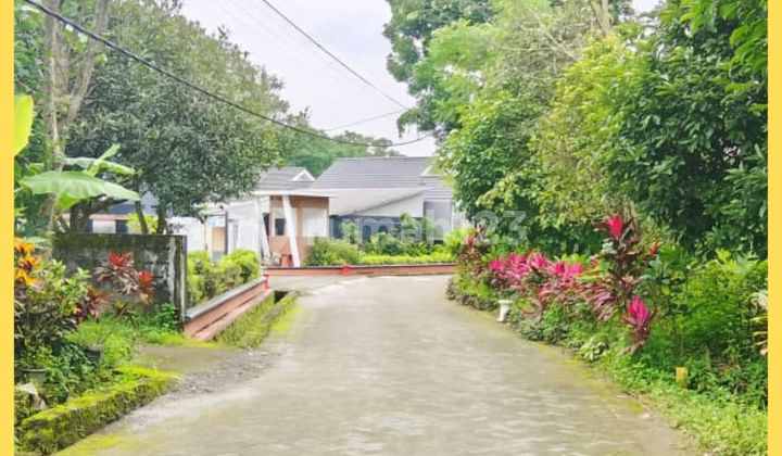 Tanah Jogja Kawasan Hunian Tajem Maguwoharjo SHM Pekarangan Tanah Jogja Kawasan Hunian Tajem Maguwoharjo SHM Pekarangan