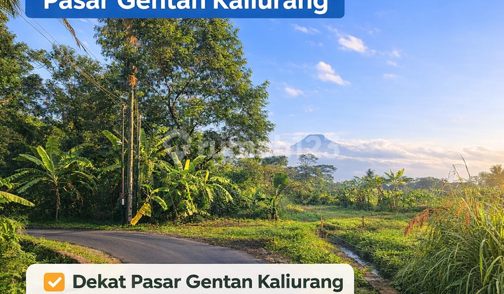 Tanah Dijual Jogja Dekat Pasar Gentan Kaliurang SHM Pekarangan