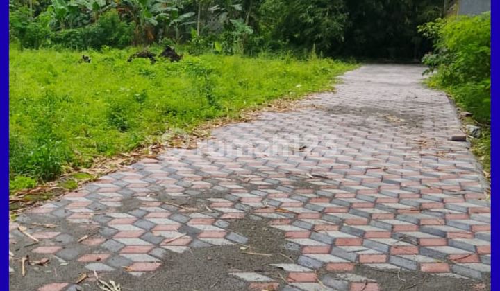 Dijual Tanah Jogja untuk Kost & Investasi 1Km Kampus Uii Dijual Tanah Jogja untuk Kost & Investasi 1Km Kampus Uii