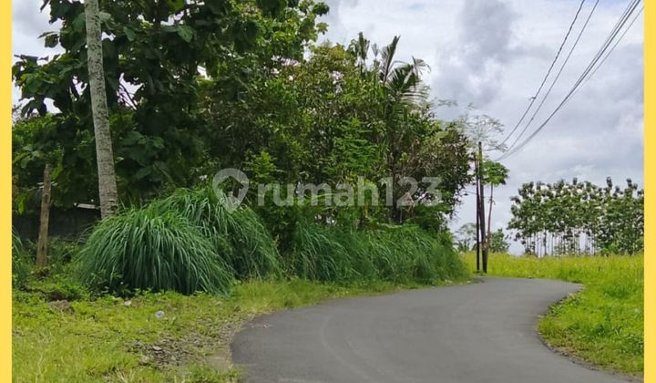 Tanah Jogja SHM Pekarangan Siap AJB Notaris bisa Dicicil Tanah Jogja SHM Pekarangan Siap AJB Notaris bisa Dicicil