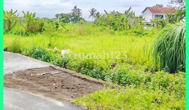 Tanah Kaliurang Jogja SHM Pekarangan Ready Balik Nama Tanah Kaliurang Jogja SHM Pekarangan Ready Balik Nama