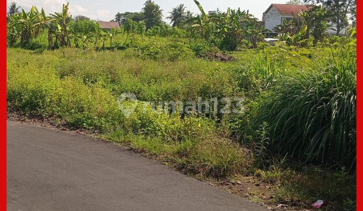 Land in Sleman Area, Yogyakarta, Kaliurang Km 10, Ready for AJB (Deed of Sale and Purchase).