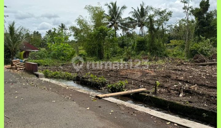 Strategic West Jogja Land Jl Palagan Km12 Installment Available