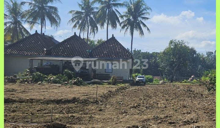 Tanah Jogja Siap Bangun 5 Menit Pasar Balecatur Gamping Tanah Jogja Siap Bangun 5 Menit Pasar Balecatur Gamping