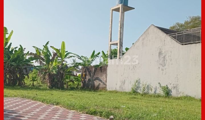 Tanah Jogja 500 Meter Kampus Unriyo Tajem Maguwoharjo