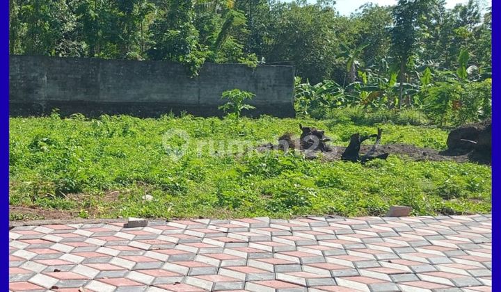 Tanah Jogja Selatan Kampus Uii Kaliurang Area Kost Tanah Jogja Selatan Kampus Uii Kaliurang Area Kost