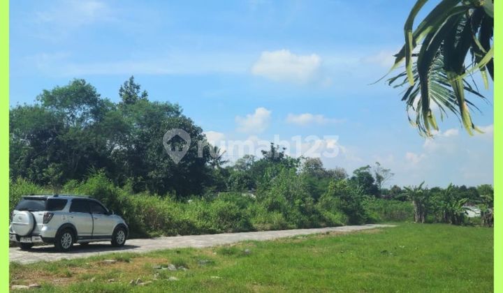 Tanah Jogja Sleman 5 Menit Pasar Stan Maguwoharjo Tanah Jogja Sleman 5 Menit Pasar Stan Maguwoharjo