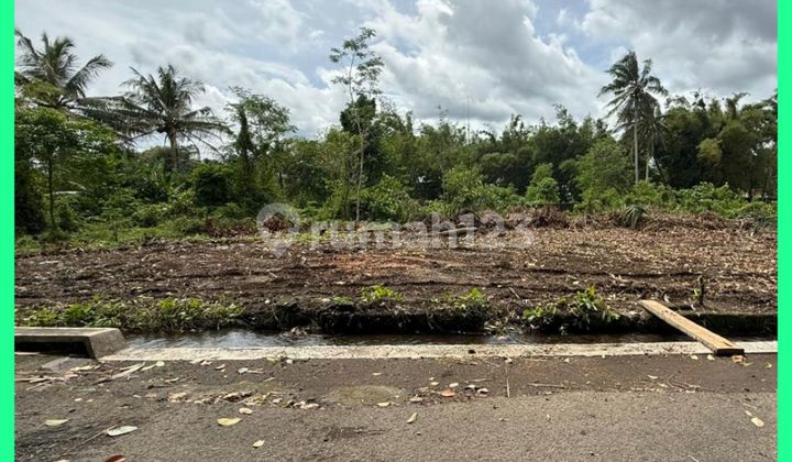 Tanah Jogja Mangku Jl Aspal 4 Menit Spbu Balong Jl Palagan Tanah Jogja Mangku Jl Aspal 4 Menit Spbu Balong Jl Palagan