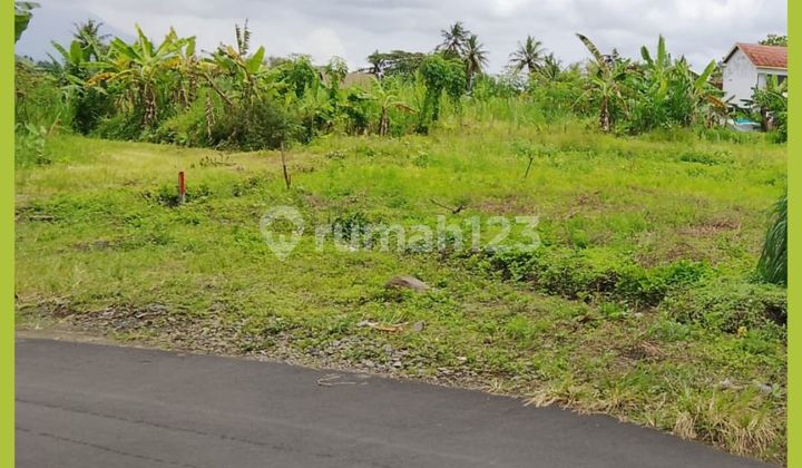 West Jogja Land, 5 Minutes to Gentan Market, Kaliurang.