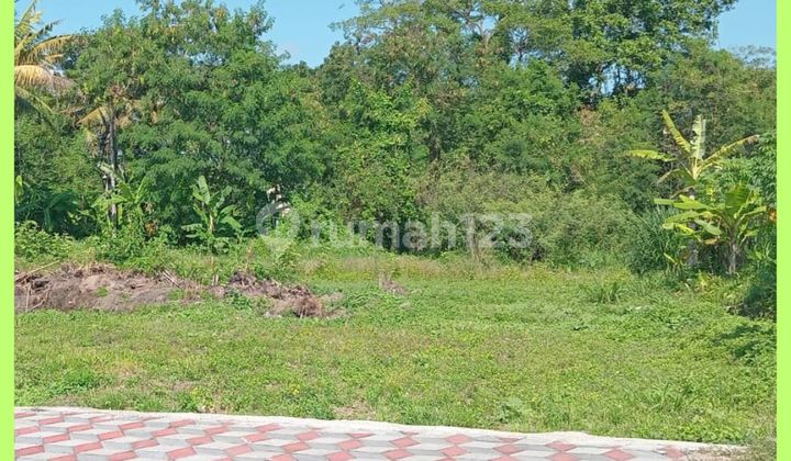 Tanah Jogja 200 Meter Dari Sd Bias Kaliurang Siap Bangun