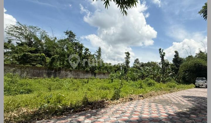 Jogja Land Area, Campus Boarding House UII Kaliurang, Freehold Land Title, Yard.