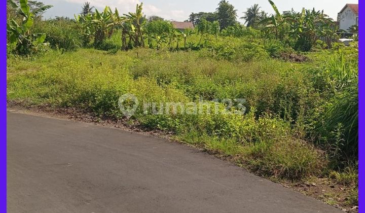 Yogyakarta Land Ready to Build 1Km from Kaliurang Street Km10