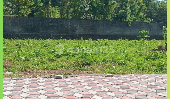 Tanah Jogja Kost 1Km Dari Kampus Uii Kaliurang Luas 633M2