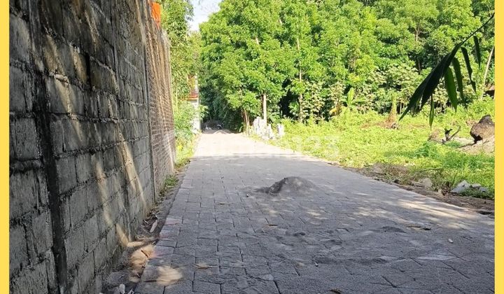 Yogyakarta Land Area Exclusive Boarding House Near UII Campus Kaliurang