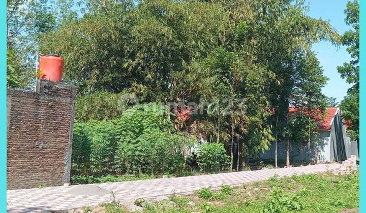 Tanah Jogja 4 Menit Dari Kampus Uii Kaliurang Cocok Kost Tanah Jogja 4 Menit Dari Kampus Uii Kaliurang Cocok Kost