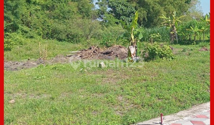 Tanah Jogja Jl Bias Kaliurang Dekat Pasar Gentan