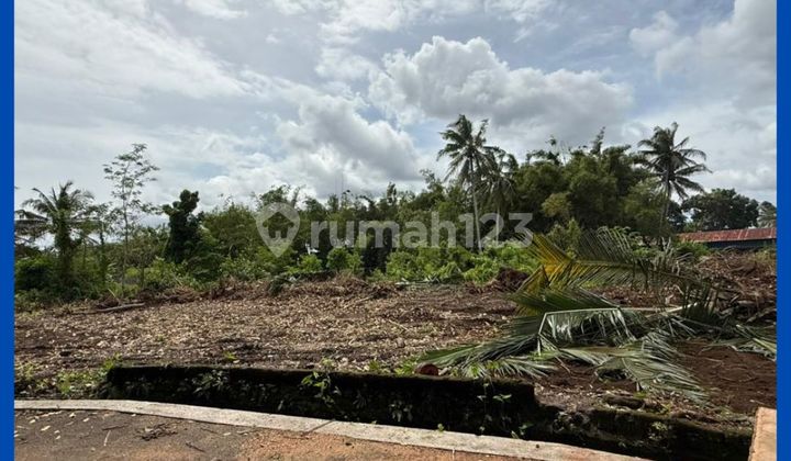 Tanah SHM Pekarangan Utara Pasar Rejodani Jl Palagan Jogja