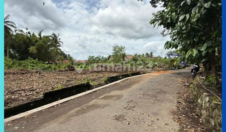 Tanah Utara Jogja 2 Jt/Mtr Area Barat Jl Palagan Km14 Tanah Utara Jogja 2 Jt/Mtr Area Barat Jl Palagan Km14