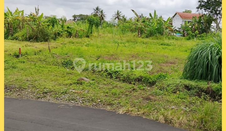 Jogja Sleman Kaliurang Km10 Land with SHM, Ready to Build Plot