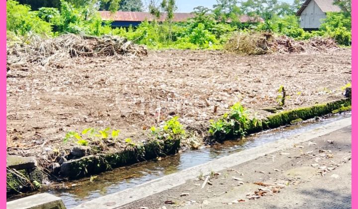 West Yogyakarta Land, Jl Palagan Km14, Mature Land, SHM