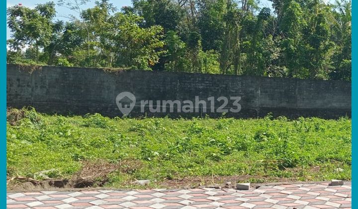 Tanah Jogja 1Km Dari Jl Kaliurang KM 13 Area Kampus Uii