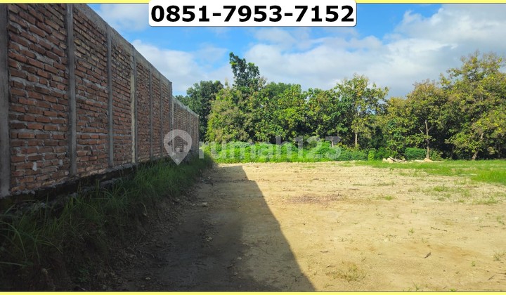 Dijual Tanah Sleman Gamping Balecatur SHM Pekarangan Siap AJB