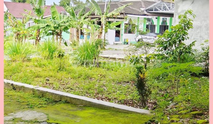 Tanah Yogyakarta Area Jl Palagan Km11 Utara Pasar Rejodani