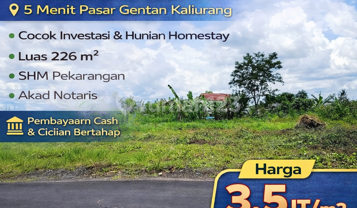 Yogyakarta Land Ready for Title Transfer 800 Meters Jl Plumbon Rejodani