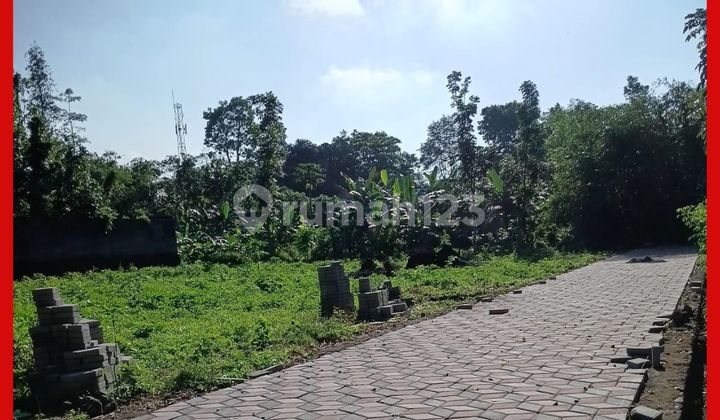 Tanah Jogja Strategis Area Kampus Uii Kaliurang Sleman Tanah Jogja Strategis Area Kampus Uii Kaliurang Sleman