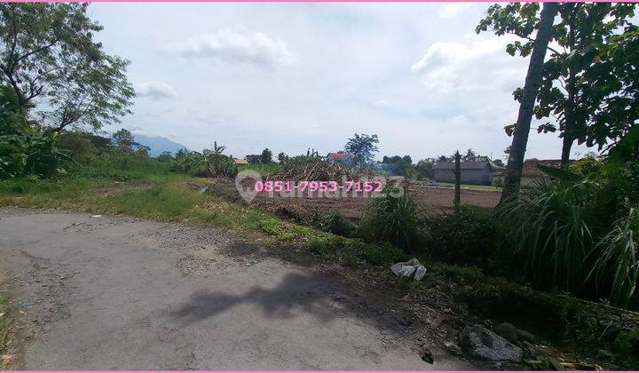 Siap Bangun Tanah Kaliurang Dekat Pasar Rejodani SHM Pekarangan Siap Bangun Tanah Kaliurang Dekat Pasar Rejodani SHM Pekarangan