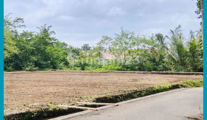 Tanah Jogja Area Jl Palagan KM 14 Harga 2 Jt-An/Mtr