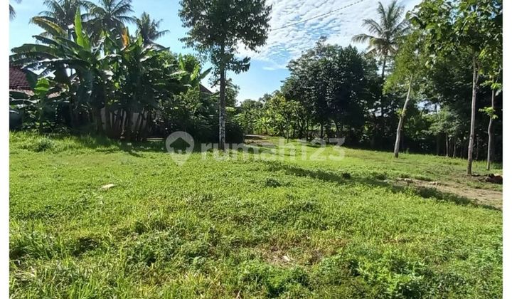 Yogyakarta Land 5 Minutes from Balecatur Gamping Market, Ready to Build