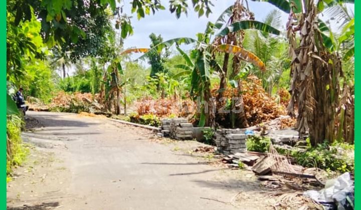 Tanah Jogja Barat Jl Palagan Km14 2 Jutaan/Mtr Cocok Invest