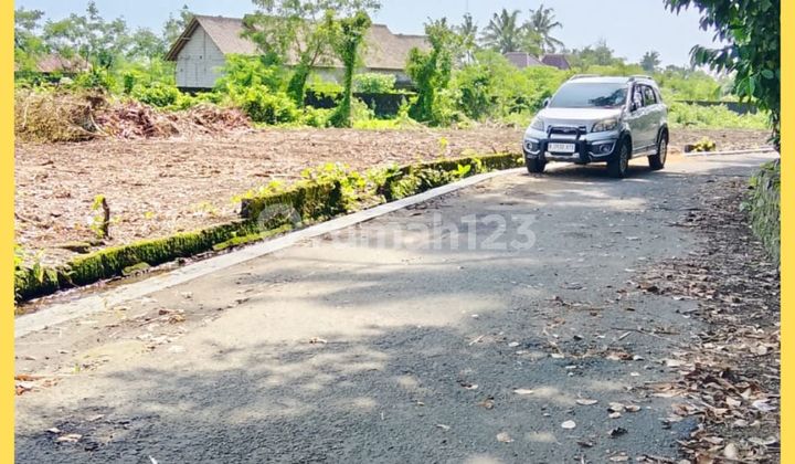West Jogja Land Jl Palagan Km14 Affordable, Suitable for Residence & Investment