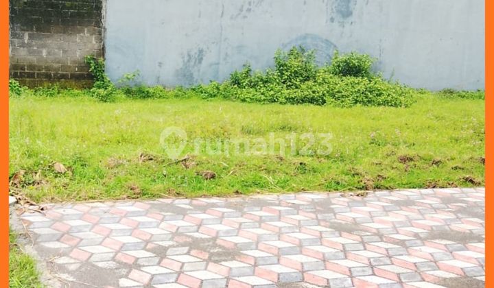 Tanah Jogja Jl Tajem Baru 5 Menit Stadion Maguwoharjo