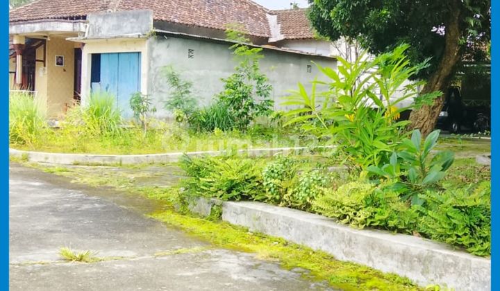 Yogyakarta Land 500 Meters Jl Rejodani Timur Palagan Km11