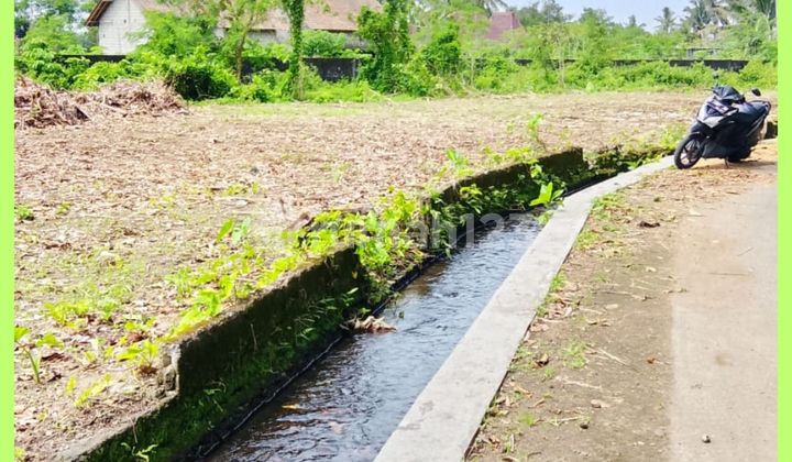 Tanah Jogja Barat Palagan SHM Pekarangan Kawasan Pedesaan