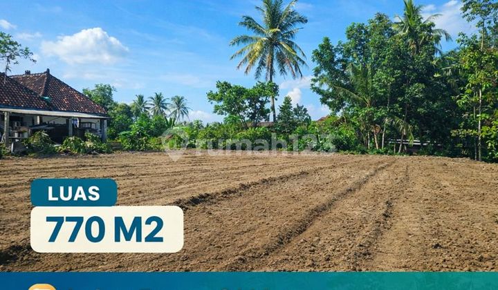 Yogyakarta Gamping Land Ready for AJB Notary SHM, Wide Yard 770 M2