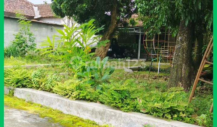 Tanah Sleman Utara Pasar Rejodani Palagan Yogyakarta