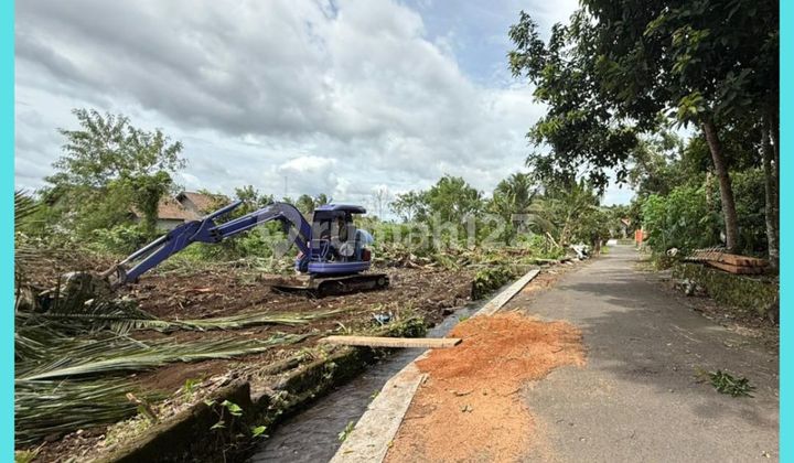 Land in West Yogyakarta Sleman, Jl Palagan, with SHM (Certificate of Ownership) for a yard.