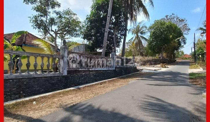 Tanah Jogja Gamping Balecatur Siap Bangun SHM Pekarangan