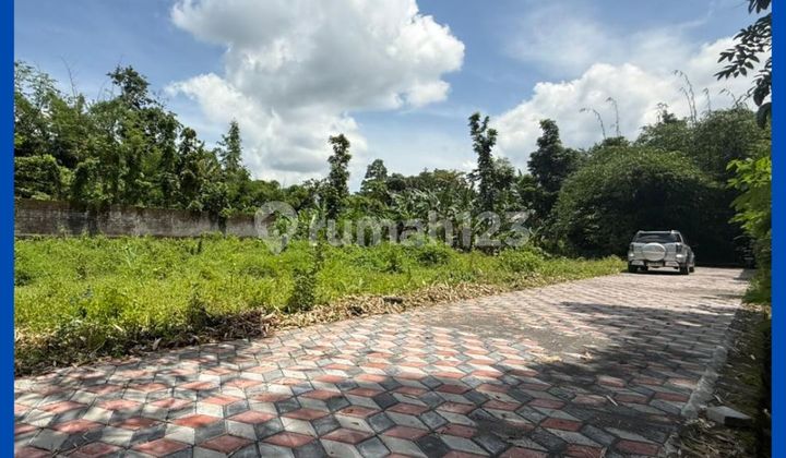 Tanah Jogja 3 Jt-An/Mtr 1Km Dari Kampus Uii Kaliurang Tanah Jogja 3 Jt-An/Mtr 1Km Dari Kampus Uii Kaliurang