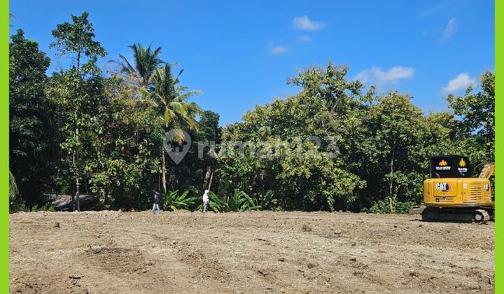Tanah Jogja Area Gamping 5 Menit Dari Pasar Balecatur
