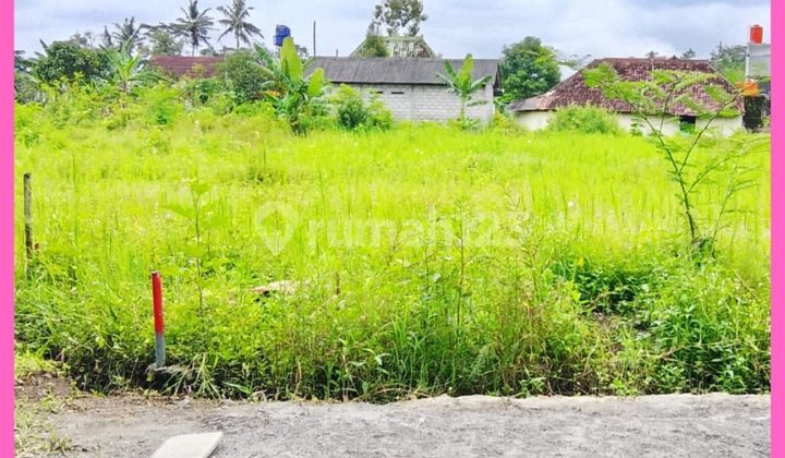 Tanah Jogja Barat Jl Kaliurang Siap Balik Nama SHM Ready