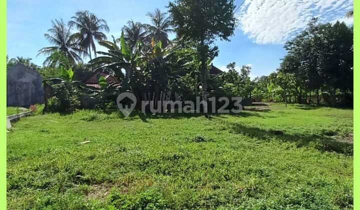 Tanah Gamping Jogja Ringroad Barat Siap Bangun SHM Pekarangan