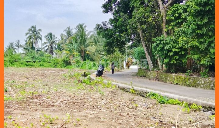 Tanah Area Jl Palagan Yogyakarta Mangku Jalan Aspal Tanah Area Jl Palagan Yogyakarta Mangku Jalan Aspal