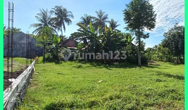 Tanah Jogja Gamping Cocok Villa 5 Menit Ps Hewan Ambarketawang Tanah Jogja Gamping Cocok Villa 5 Menit Ps Hewan Ambarketawang